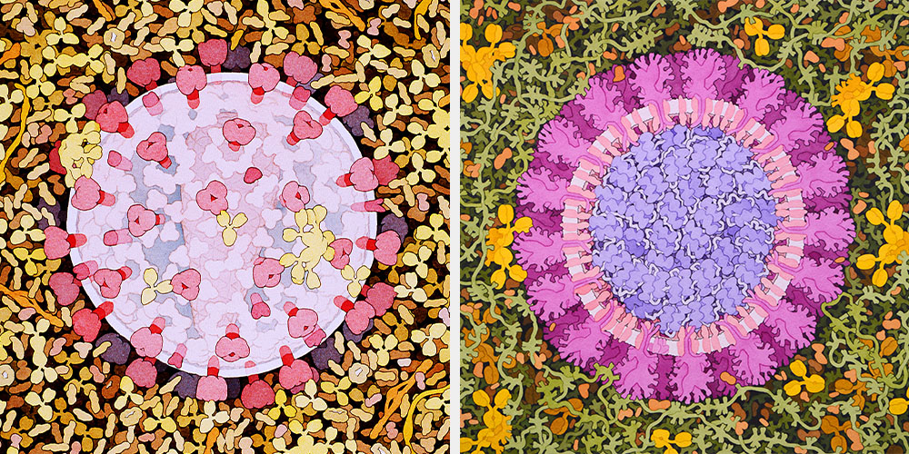 Two illustration of HIV and COVID-19 virions.