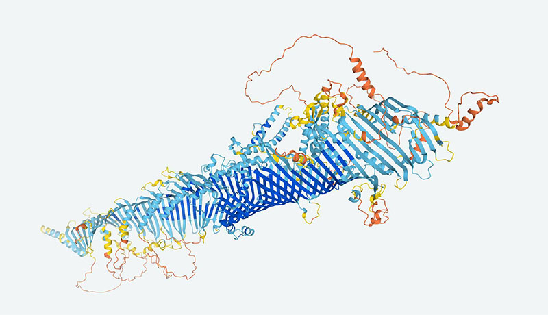 A 3D model of a fruit fly protein.